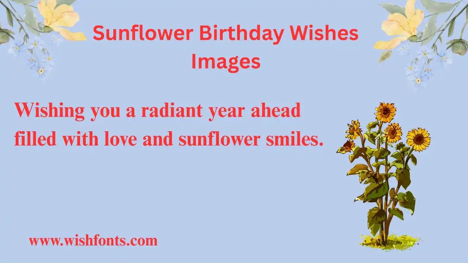 sunflower-birthday-wishes-images