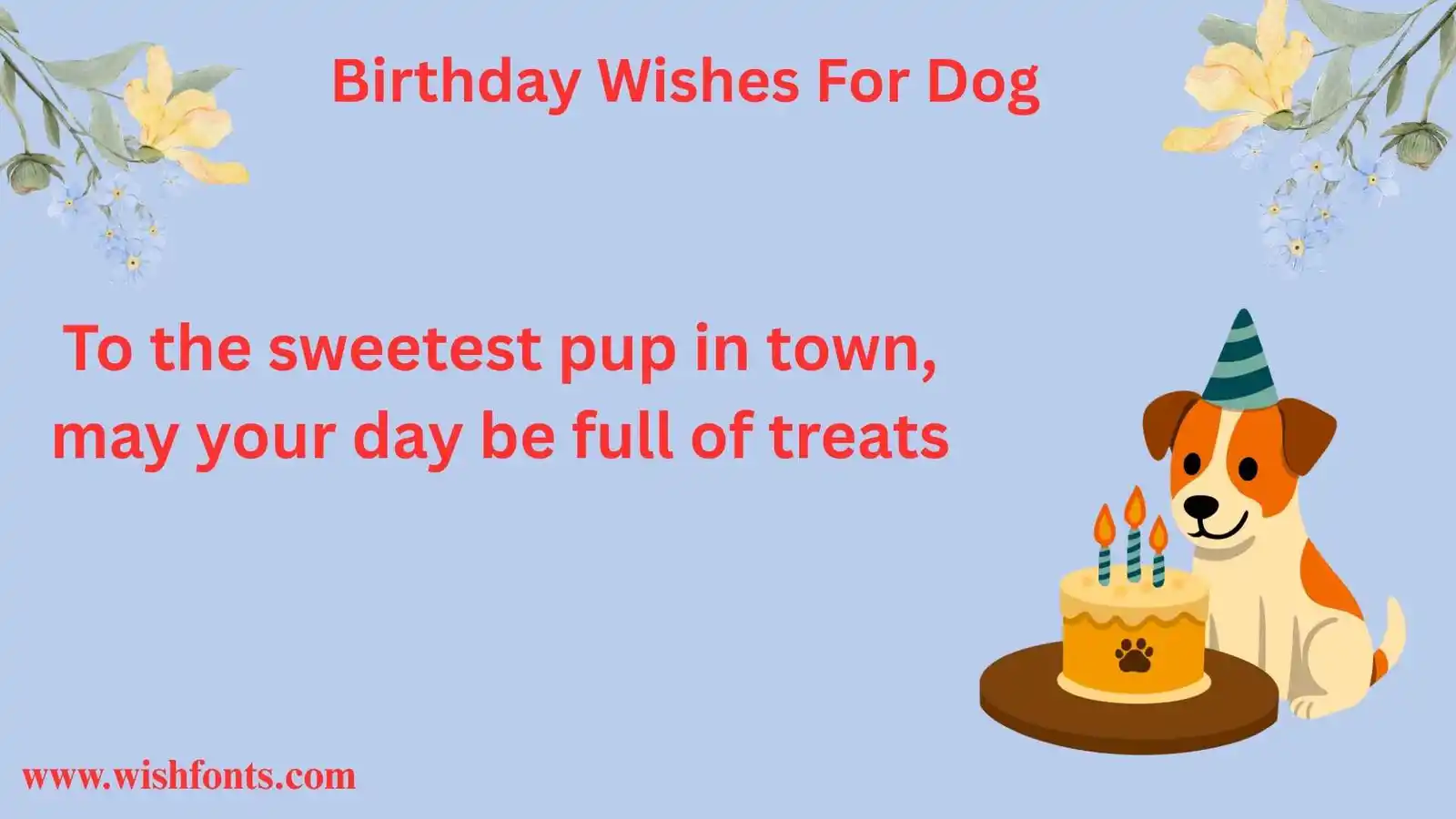Birthday Wishes For Dog