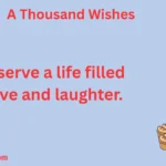 a thousand wishes
