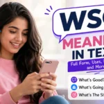 WSG Meaning in Text
