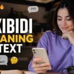 Skibidi Meaning in Text