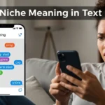 Niche Meaning in Text