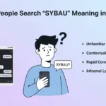 SYBAU Meaning In Text